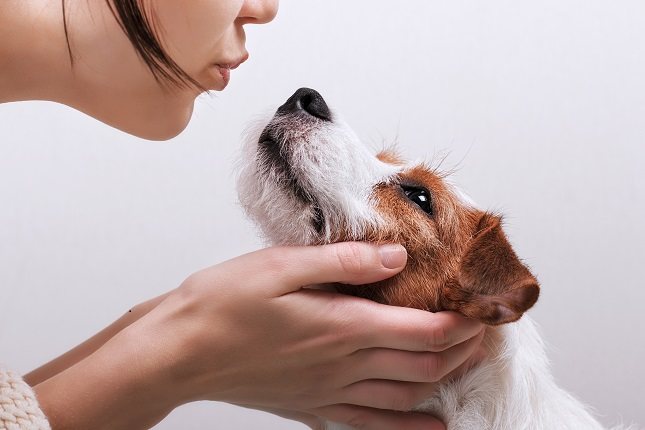 Los perros terapia ayudan a mejorar la salud mental de una persona dándole atención y comodidad