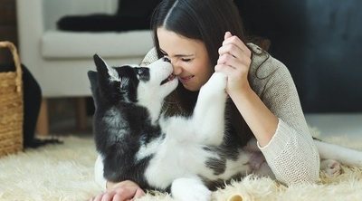 Lecciones de vida que aprenderás de tu mascotas (sobre todo de los perros)